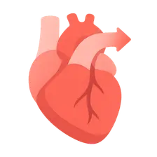 Ventricular ejection physiology