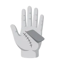 Reconstructive Hand Surgery