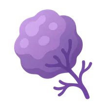 Cancer Biology Basics