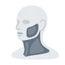Head and neck fascial spaces