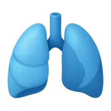 Pulmonary Risk Assessment