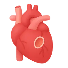 Congenital heart defects