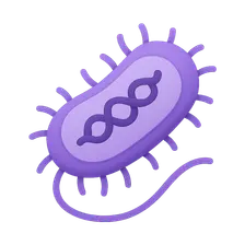 Bacterial Genetics