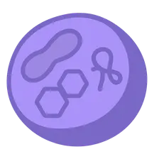 Treatment options (ERT, substrate reduction, chaperones)