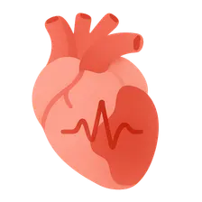 Ischemia and infarction patterns