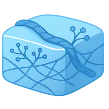 Extracellular matrix components