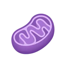 Inborn Errors of Metabolism