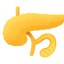 Pancreatic exocrine function