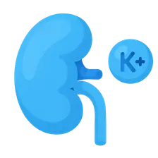 Potassium balance and regulation