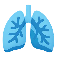 Pulmonary Vascular Diseases