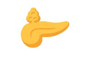 Endocrinology & Diabetes