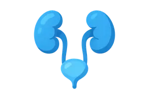 Renal & Urology