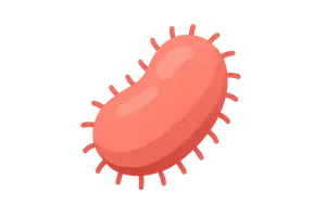 Serious & Notifiable Infections