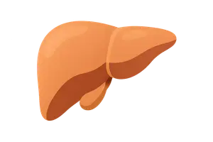 Gastroenterology & Hepatology