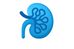 Nephrology (CKD, glomerular diseases)