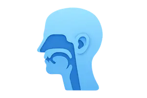 Otolaryngology Basics