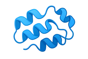 Protein Structure and Function