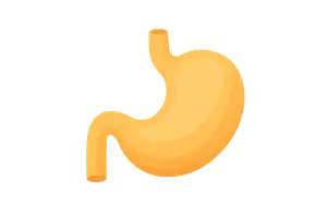 Nutrition and Metabolism