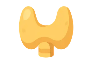 Endocrinology (diabetes, thyroid disorders)