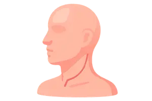 Head and Neck Surgery