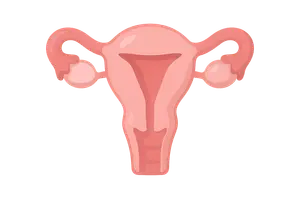 Reproductive physiology (menstrual cycle, pregnancy)