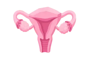 Women's Health & Reproductive Care