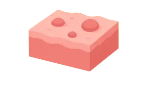 Fluids & Solid Mechanics