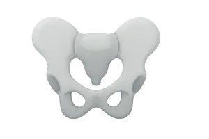 Radiologic landmarks