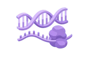 Molecular Biology & Gene Expression