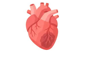 Cardiovascular Disorders