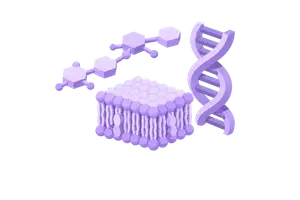 Carbohydrates, Lipids & Nucleic Acids