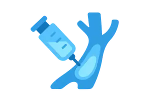 Contrast Media and Reactions