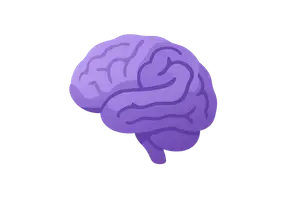 Brain and Neuroanatomy