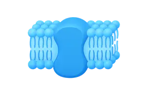 Membrane Biochemistry