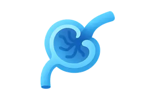 Glomerular filtration