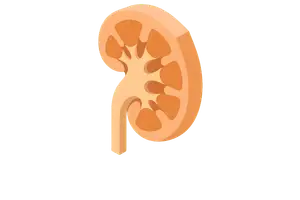 Renal & Urinary Disorders