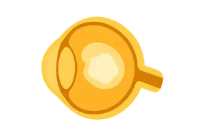 Diseases of the Lens