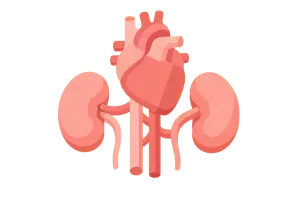 Cardiovascular & Renal Medications