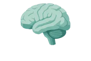 Nervous System