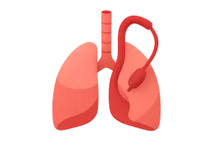 Complications in Anesthesia