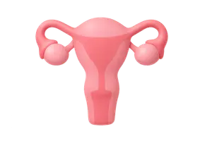 Reproductive Physiology