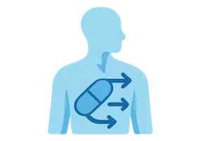 Pharmacokinetics (ADME principles)