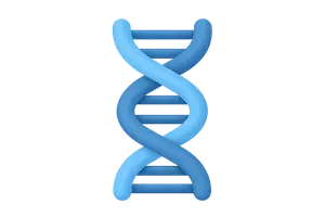 Nucleic Acid Biochemistry