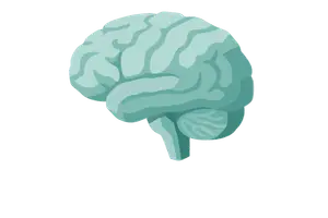 Nervous & Endocrine Systems
