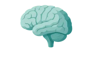 Neuro, Musculoskeletal & Sensory Conditions