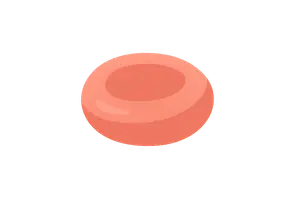 Hematology (anemias, clotting disorders)