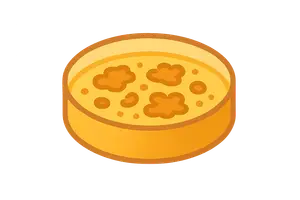 Diagnostic Microbiology