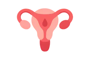 Sexual Offences and Abortion