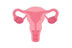 Reproductive Endocrinology