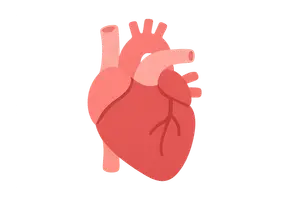 Cardiothoracic Surgery
